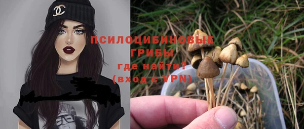 дживик Алексин